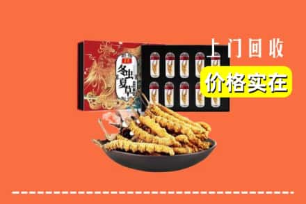 牡丹江东安区回收冬虫夏草